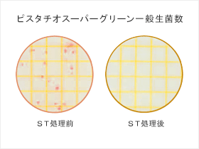 ピスタチオスーパーグリーン一般生菌数